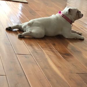 Meet your Posher, Jeff